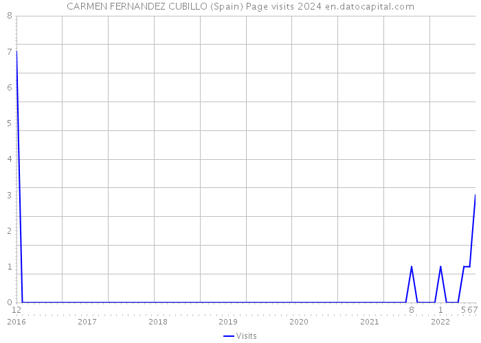 CARMEN FERNANDEZ CUBILLO (Spain) Page visits 2024 