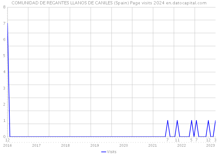 COMUNIDAD DE REGANTES LLANOS DE CANILES (Spain) Page visits 2024 