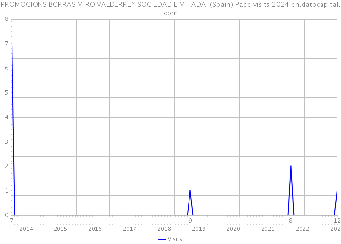 PROMOCIONS BORRAS MIRO VALDERREY SOCIEDAD LIMITADA. (Spain) Page visits 2024 