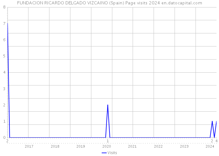 FUNDACION RICARDO DELGADO VIZCAINO (Spain) Page visits 2024 