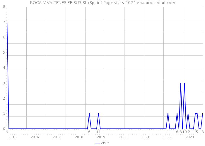 ROCA VIVA TENERIFE SUR SL (Spain) Page visits 2024 