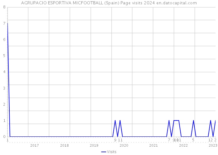 AGRUPACIO ESPORTIVA MICFOOTBALL (Spain) Page visits 2024 