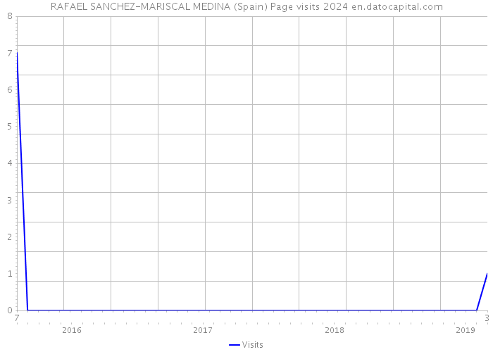 RAFAEL SANCHEZ-MARISCAL MEDINA (Spain) Page visits 2024 