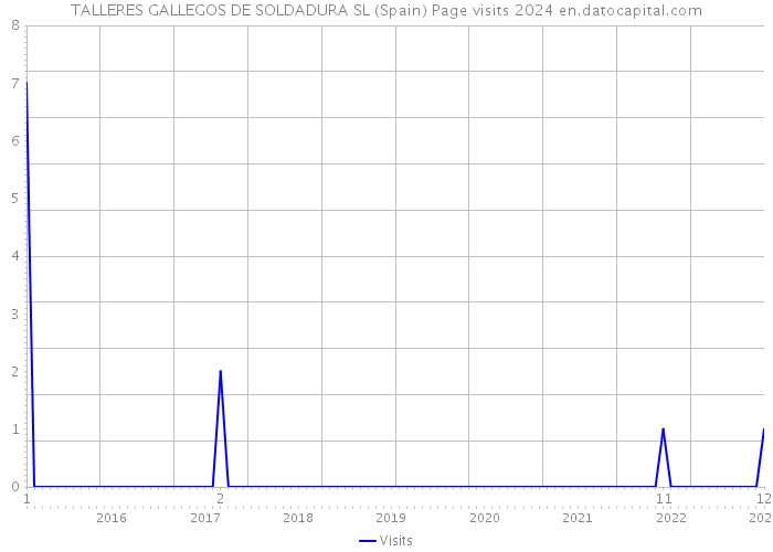 TALLERES GALLEGOS DE SOLDADURA SL (Spain) Page visits 2024 