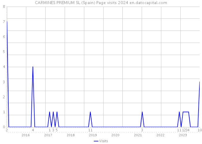 CARMINES PREMIUM SL (Spain) Page visits 2024 