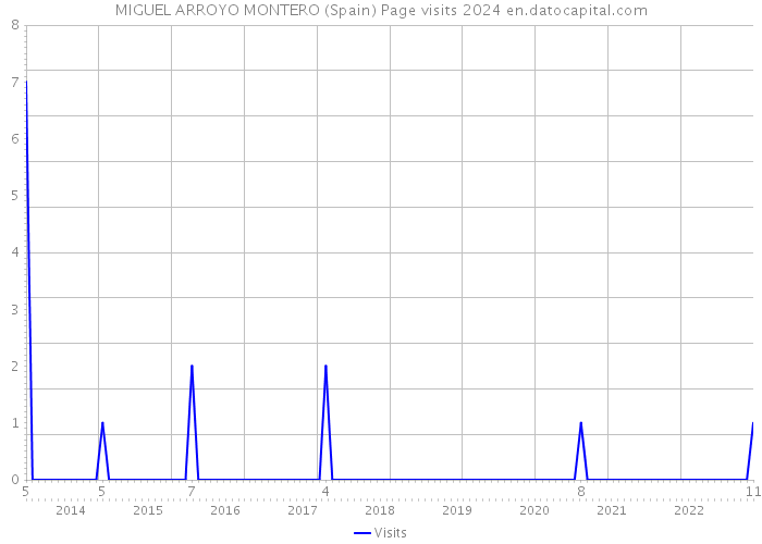 MIGUEL ARROYO MONTERO (Spain) Page visits 2024 