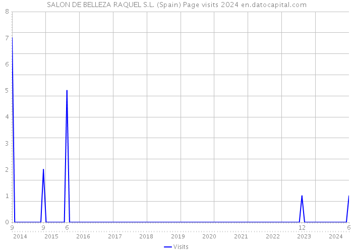 SALON DE BELLEZA RAQUEL S.L. (Spain) Page visits 2024 