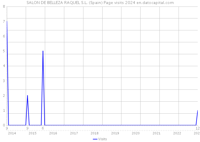 SALON DE BELLEZA RAQUEL S.L. (Spain) Page visits 2024 