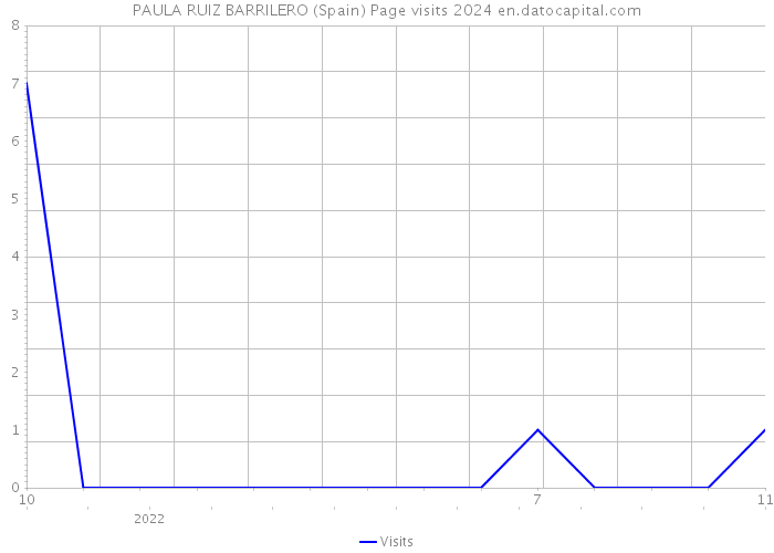 PAULA RUIZ BARRILERO (Spain) Page visits 2024 