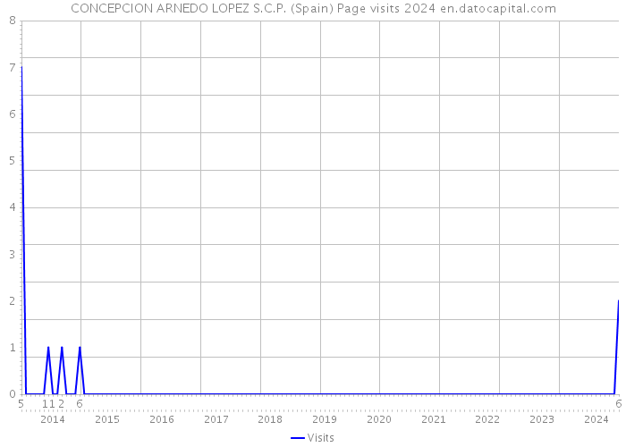 CONCEPCION ARNEDO LOPEZ S.C.P. (Spain) Page visits 2024 