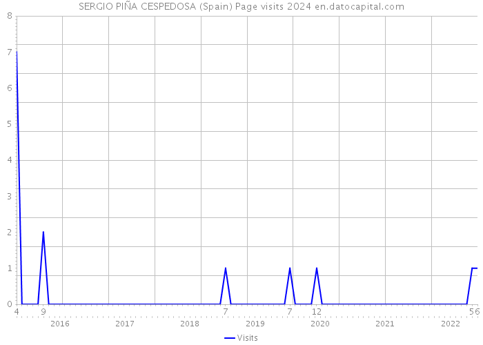 SERGIO PIÑA CESPEDOSA (Spain) Page visits 2024 