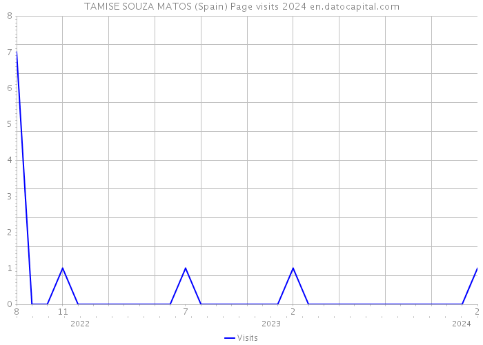 TAMISE SOUZA MATOS (Spain) Page visits 2024 