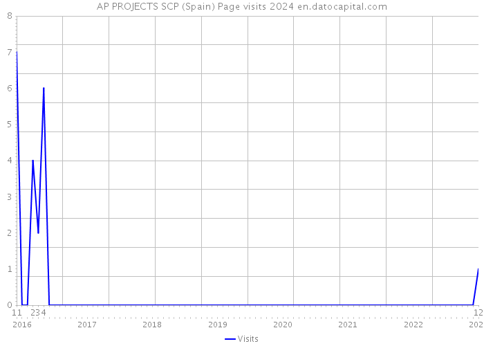 AP PROJECTS SCP (Spain) Page visits 2024 