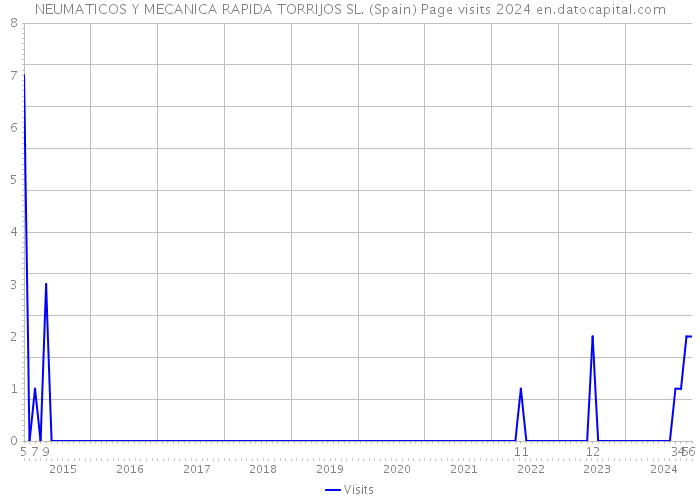 NEUMATICOS Y MECANICA RAPIDA TORRIJOS SL. (Spain) Page visits 2024 