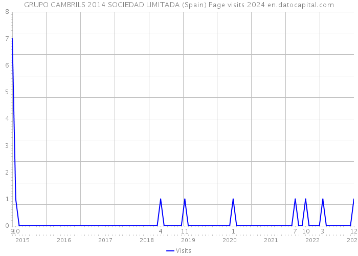 GRUPO CAMBRILS 2014 SOCIEDAD LIMITADA (Spain) Page visits 2024 