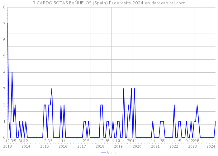 RICARDO BOTAS BAÑUELOS (Spain) Page visits 2024 
