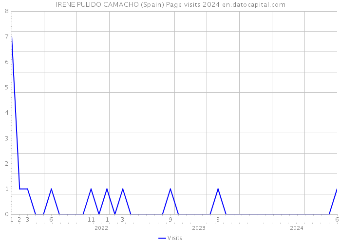 IRENE PULIDO CAMACHO (Spain) Page visits 2024 