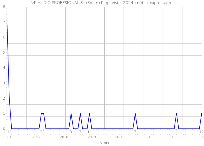VP AUDIO PROFESIONAL SL (Spain) Page visits 2024 
