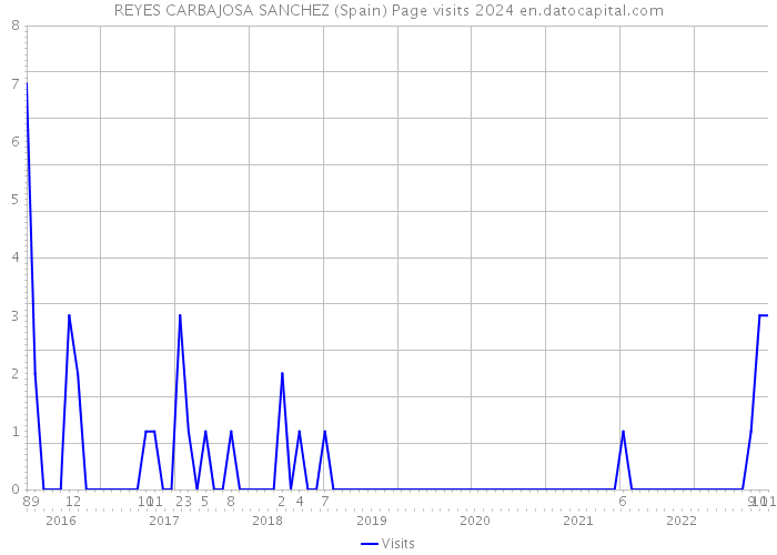 REYES CARBAJOSA SANCHEZ (Spain) Page visits 2024 