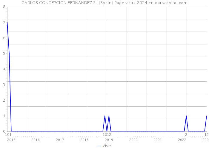 CARLOS CONCEPCION FERNANDEZ SL (Spain) Page visits 2024 