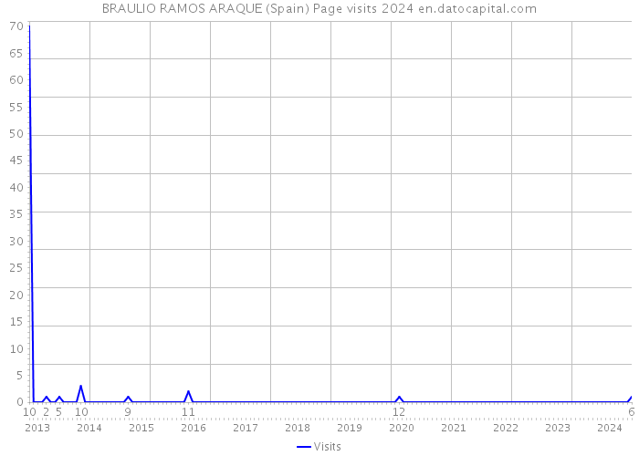BRAULIO RAMOS ARAQUE (Spain) Page visits 2024 