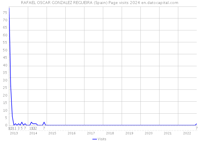 RAFAEL OSCAR GONZALEZ REGUEIRA (Spain) Page visits 2024 