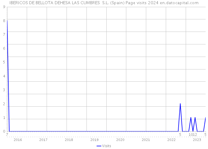 IBERICOS DE BELLOTA DEHESA LAS CUMBRES S.L. (Spain) Page visits 2024 