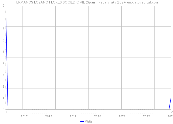 HERMANOS LOZANO FLORES SOCIED CIVIL (Spain) Page visits 2024 