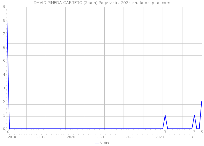 DAVID PINEDA CARRERO (Spain) Page visits 2024 