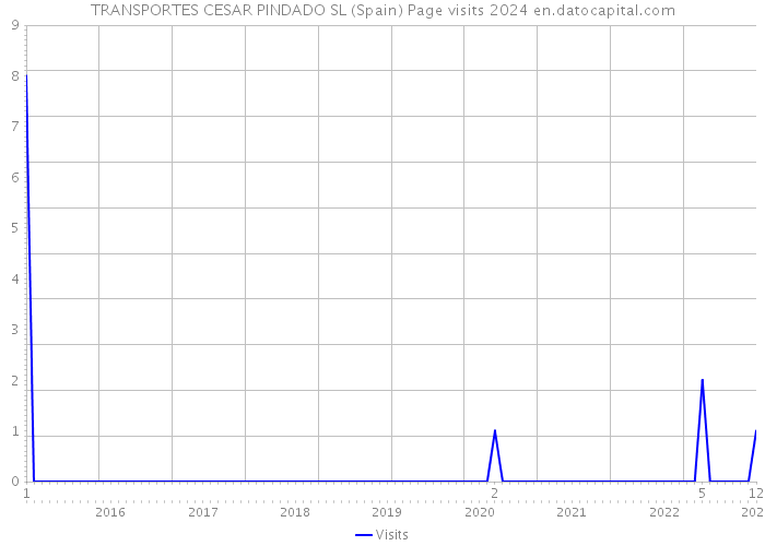TRANSPORTES CESAR PINDADO SL (Spain) Page visits 2024 