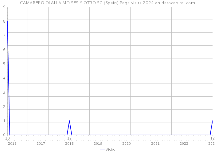 CAMARERO OLALLA MOISES Y OTRO SC (Spain) Page visits 2024 
