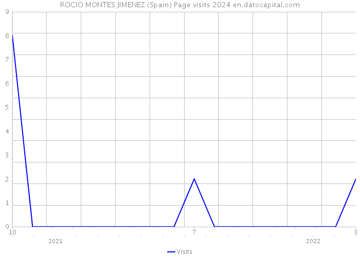 ROCIO MONTES JIMENEZ (Spain) Page visits 2024 