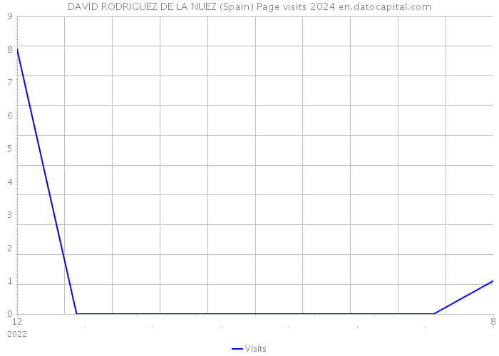 DAVID RODRIGUEZ DE LA NUEZ (Spain) Page visits 2024 