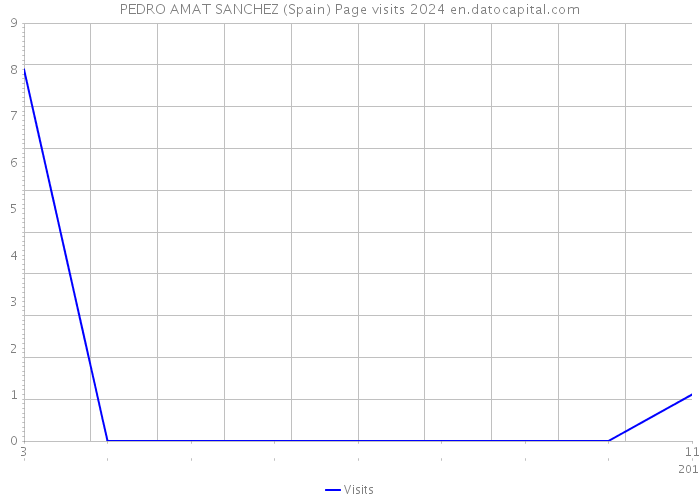 PEDRO AMAT SANCHEZ (Spain) Page visits 2024 