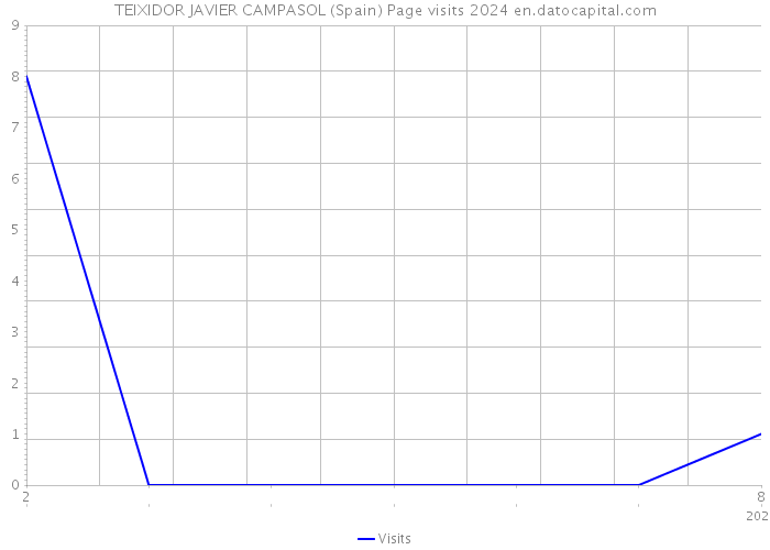 TEIXIDOR JAVIER CAMPASOL (Spain) Page visits 2024 