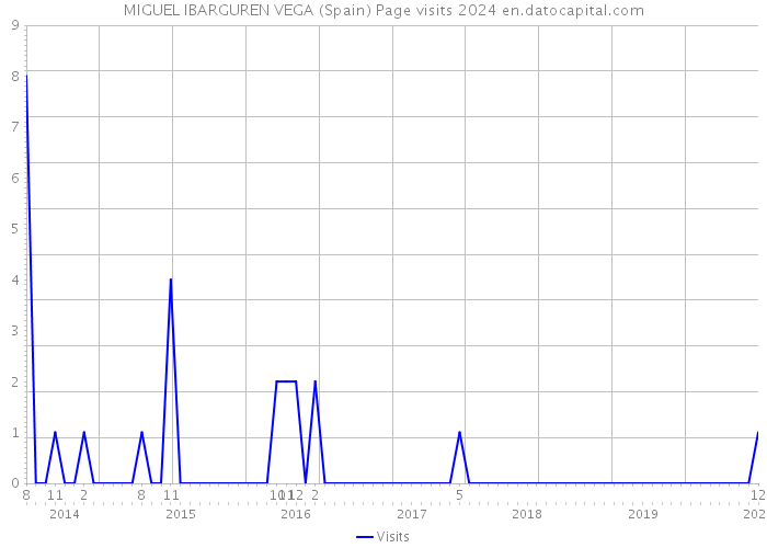 MIGUEL IBARGUREN VEGA (Spain) Page visits 2024 