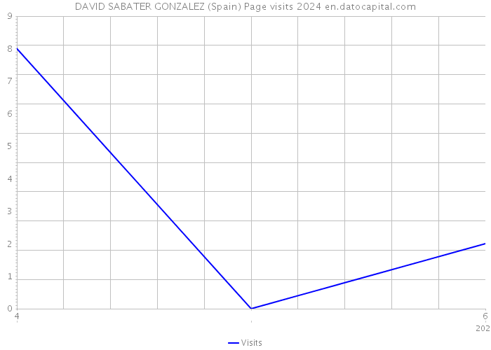 DAVID SABATER GONZALEZ (Spain) Page visits 2024 