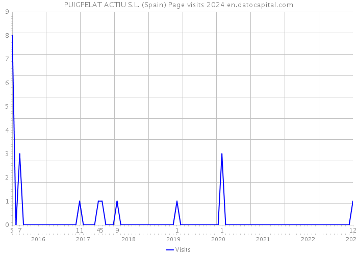 PUIGPELAT ACTIU S.L. (Spain) Page visits 2024 