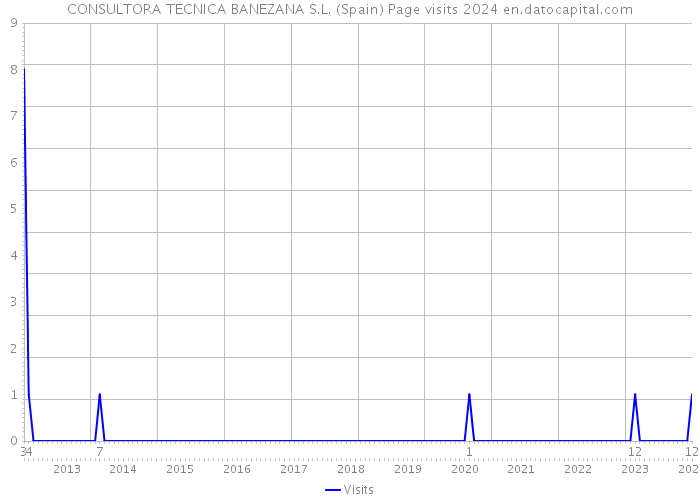 CONSULTORA TECNICA BANEZANA S.L. (Spain) Page visits 2024 