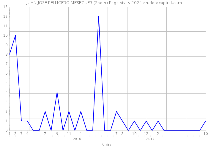 JUAN JOSE PELLICERO MESEGUER (Spain) Page visits 2024 