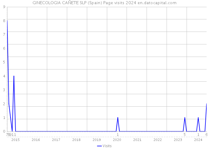 GINECOLOGIA CAÑETE SLP (Spain) Page visits 2024 