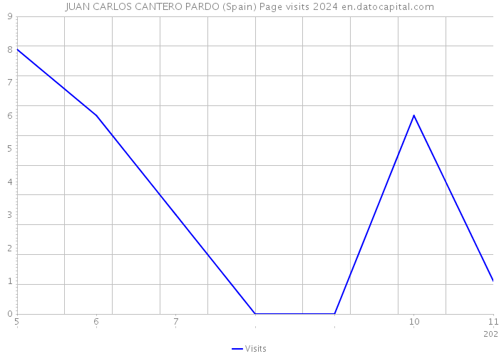 JUAN CARLOS CANTERO PARDO (Spain) Page visits 2024 