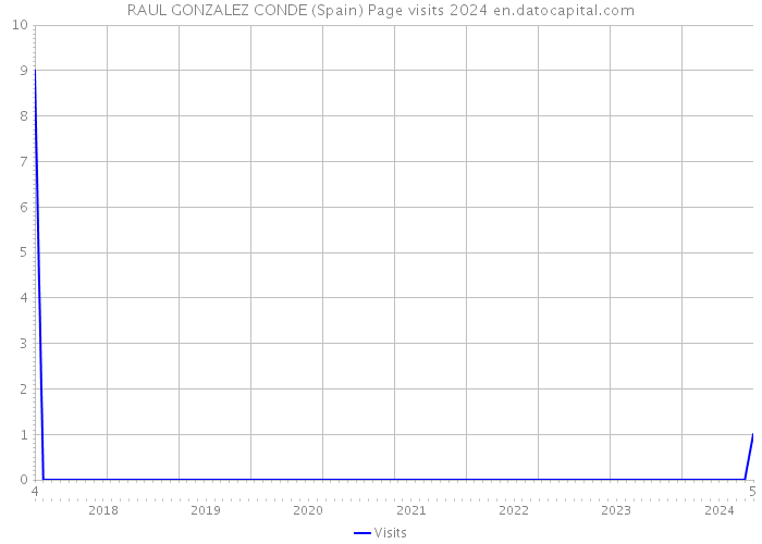 RAUL GONZALEZ CONDE (Spain) Page visits 2024 