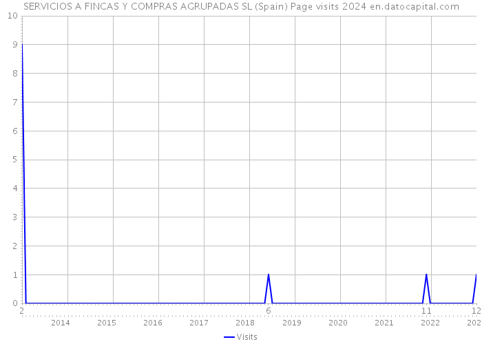 SERVICIOS A FINCAS Y COMPRAS AGRUPADAS SL (Spain) Page visits 2024 