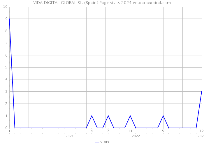 VIDA DIGITAL GLOBAL SL. (Spain) Page visits 2024 