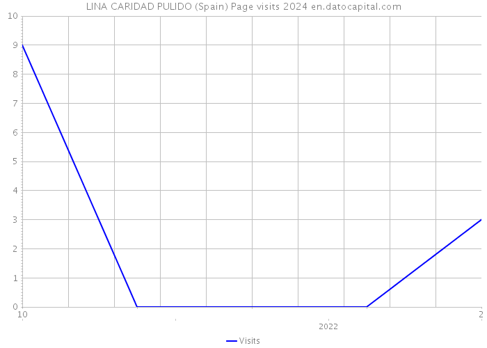LINA CARIDAD PULIDO (Spain) Page visits 2024 