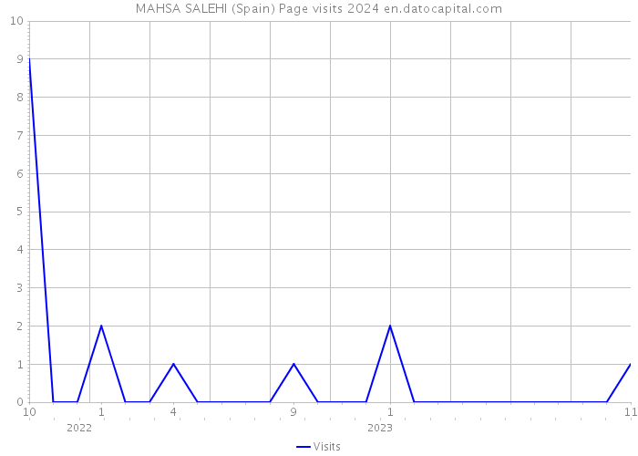 MAHSA SALEHI (Spain) Page visits 2024 