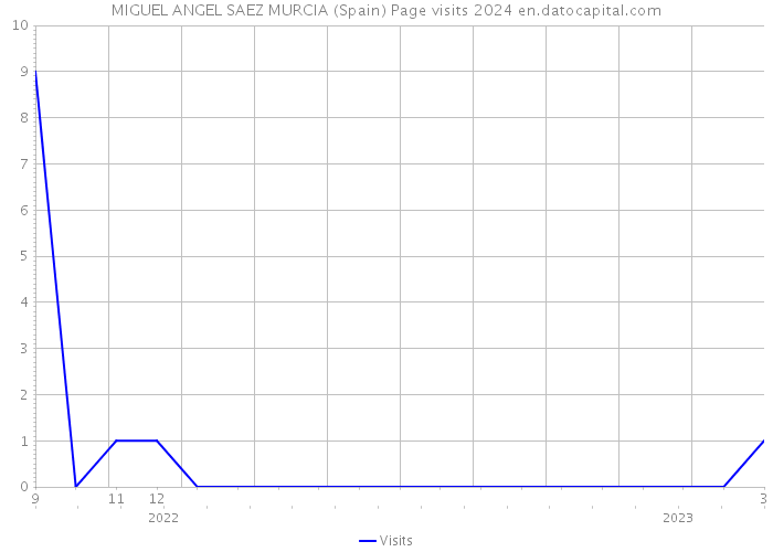 MIGUEL ANGEL SAEZ MURCIA (Spain) Page visits 2024 