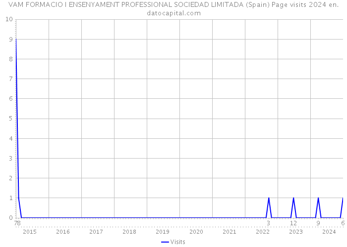 VAM FORMACIO I ENSENYAMENT PROFESSIONAL SOCIEDAD LIMITADA (Spain) Page visits 2024 