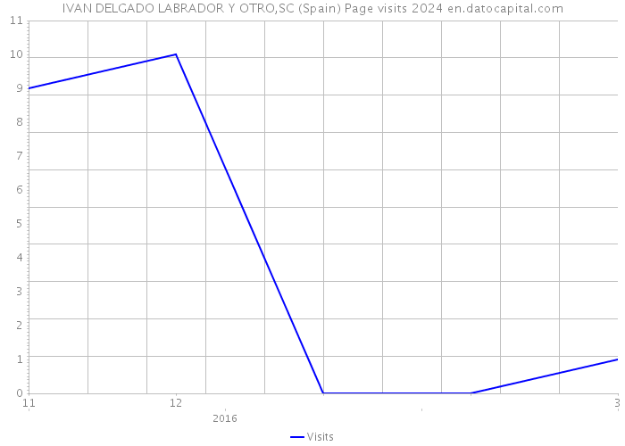 IVAN DELGADO LABRADOR Y OTRO,SC (Spain) Page visits 2024 